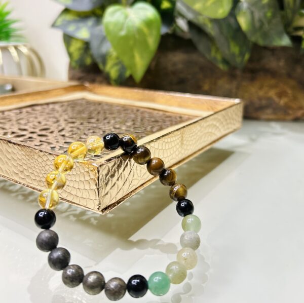 Dhan Vridhi Bracelet - Image 3