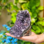 Home img 20250907 wa0013