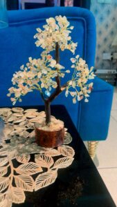 Home img 20250927 wa0006